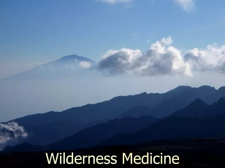 wilderness medicine