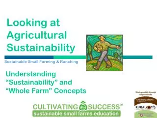 Looking at Agricultural Sustainability