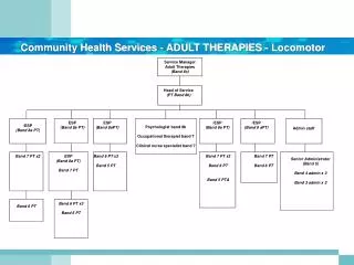 Community Health Services - ADULT THERAPIES - Locomotor
