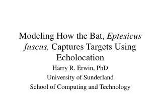 Modeling How the Bat, Eptesicus fuscus, Captures Targets Using Echolocation