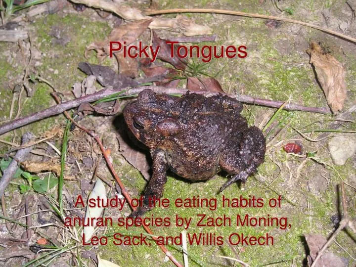 picky tongues