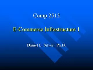 comp 2513 e commerce infrastructure 1