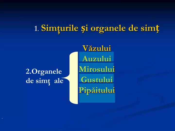 1 sim urile i organele de sim v zului auzului mirosului gustului pip itului