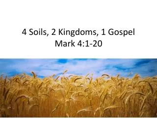4 Soils, 2 Kingdoms, 1 Gospel Mark 4:1-20