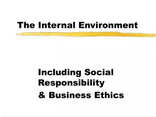 The Internal Environment