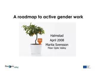 A roadmap to active gender work