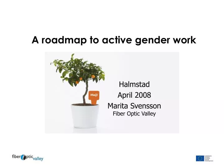 a roadmap to active gender work