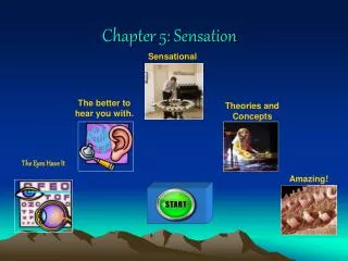 Chapter 5: Sensation