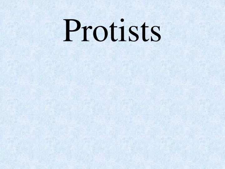 PPT - Protists PowerPoint Presentation, Free Download - ID:6251825