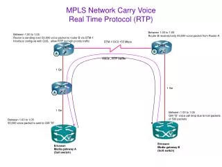 MPLS Network Carry Voice Real Time Protocol (RTP)