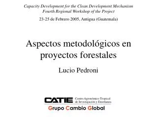 aspectos metodol gicos en proyectos forestales
