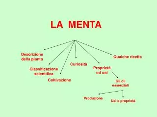 la menta