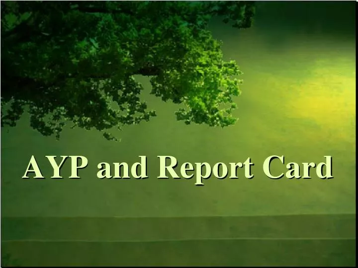 ayp and report card