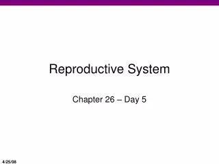 Reproductive System