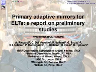 Primary adaptive mirrors for ELTs: a report on preliminary studies