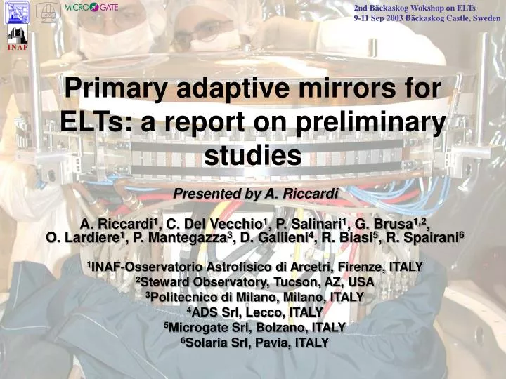primary adaptive mirrors for elts a report on preliminary studies