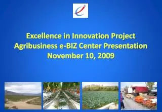 Excellence in I nnovation Project Agribusiness e-BIZ Center Presentation November 10, 2009