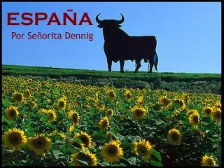 espa a