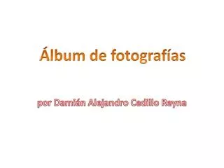 por dami n alejandro cedillo reyna