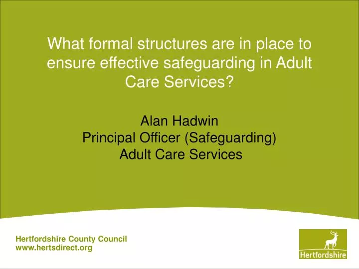 what formal structures are in place to ensure effective safeguarding in adult care services