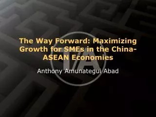 The Way Forward: Maximizing Growth for SMEs in the China-ASEAN Economies
