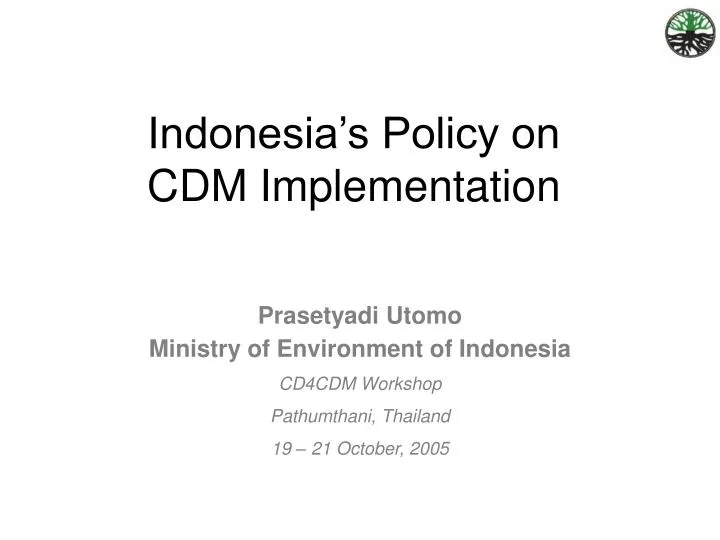 indonesia s policy on cdm implementation