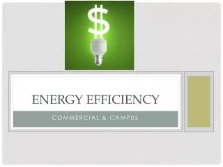 Energy Efficiency