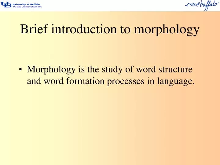 brief introduction to morphology