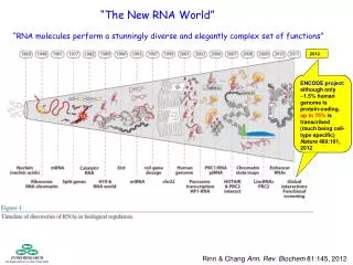 Rinn &amp; Chang Ann. Rev. Biochem 81:145, 2012