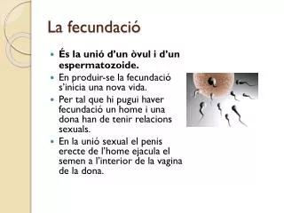 la fecundaci
