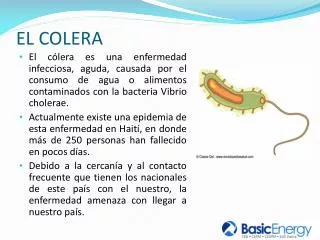 el colera
