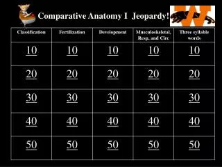 Comparative Anatomy I Jeopardy!