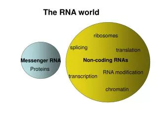 The RNA world