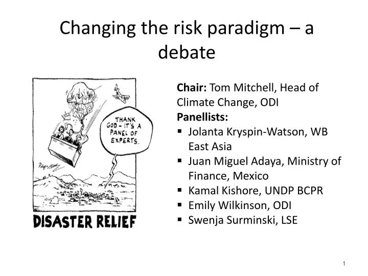 changing the risk paradigm a debate
