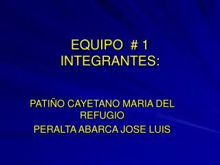 equipo 1 integrantes