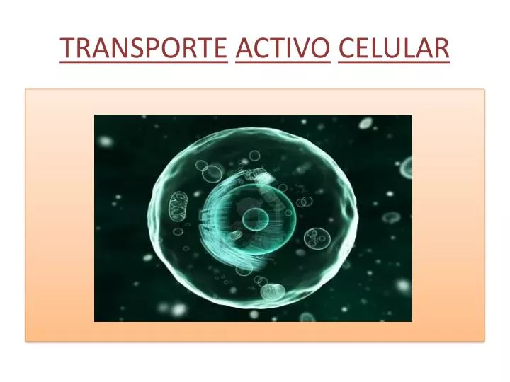 transporte activo celular