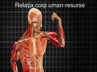 rela ia corp uman resurse