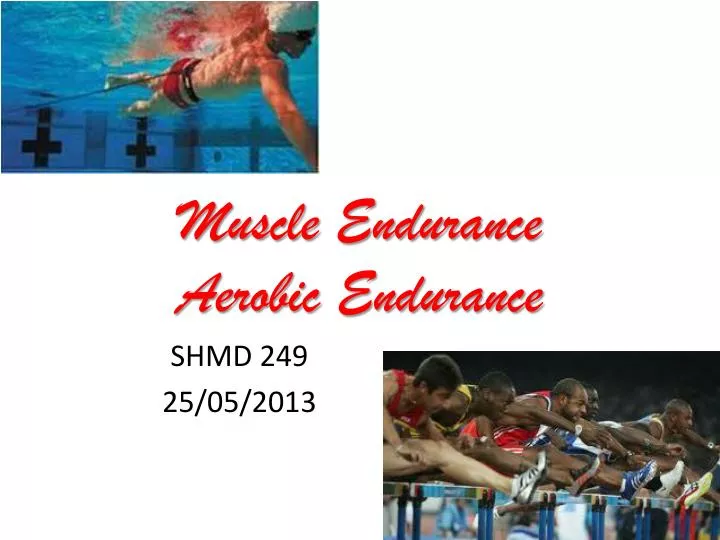 muscle endurance aerobic endurance