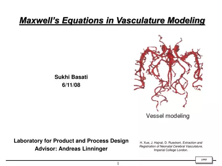 maxwell s equations in vasculature modeling