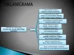 ORGANIGRAMA - slide 1