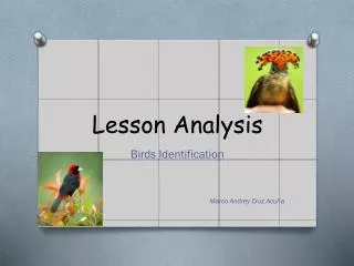 Lesson Analysis