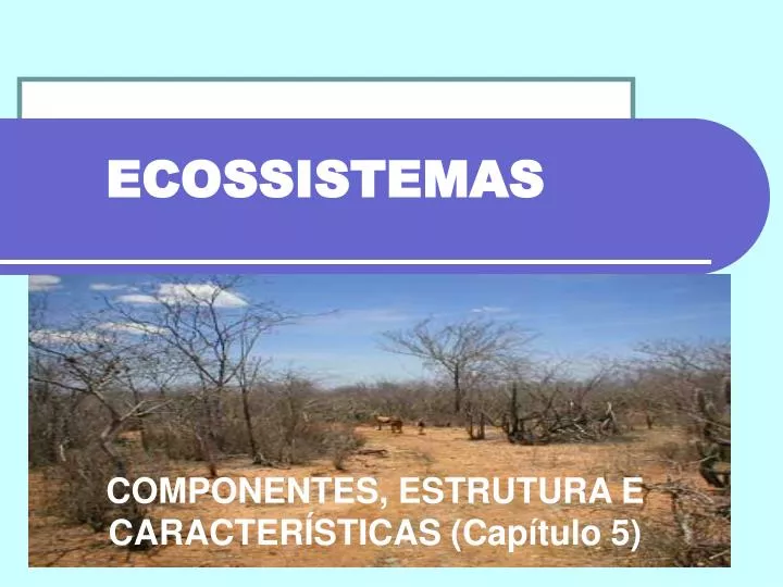 ecossistemas