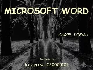 microsoft word