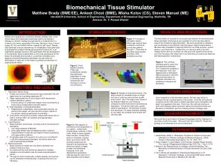 Biomechanical Tissue Stimulator