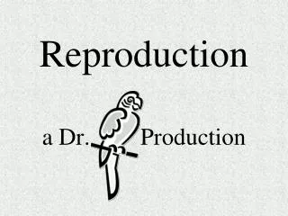 Reproduction a Dr. 		 Production