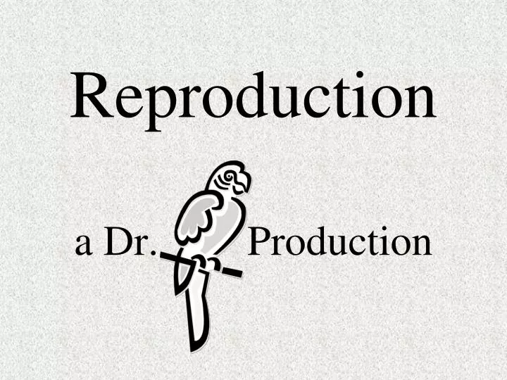 reproduction a dr production