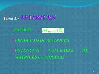 tema 1 matrices