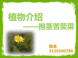 slide1