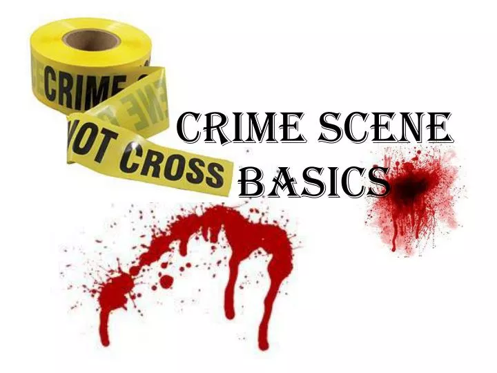 crime scene basics