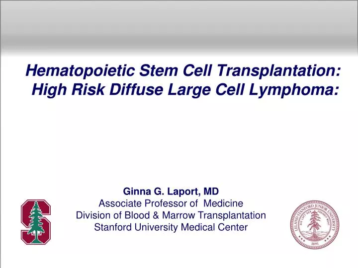 hematopoietic stem cell transplantation high risk diffuse large cell lymphoma